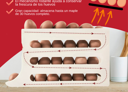 Organizador Dispensador de Huevos