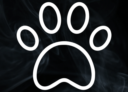 Sticker Transferible T34 (7601463623889)