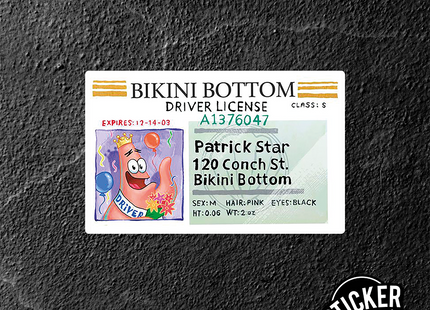 Sticker - C20 (7601497866449)